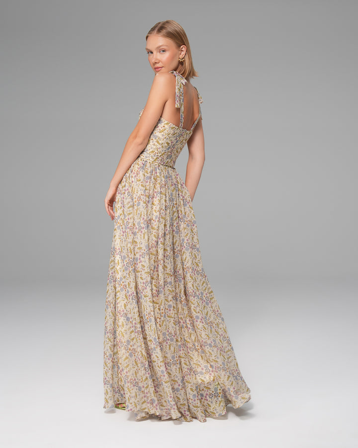 Printed Corset Dress
