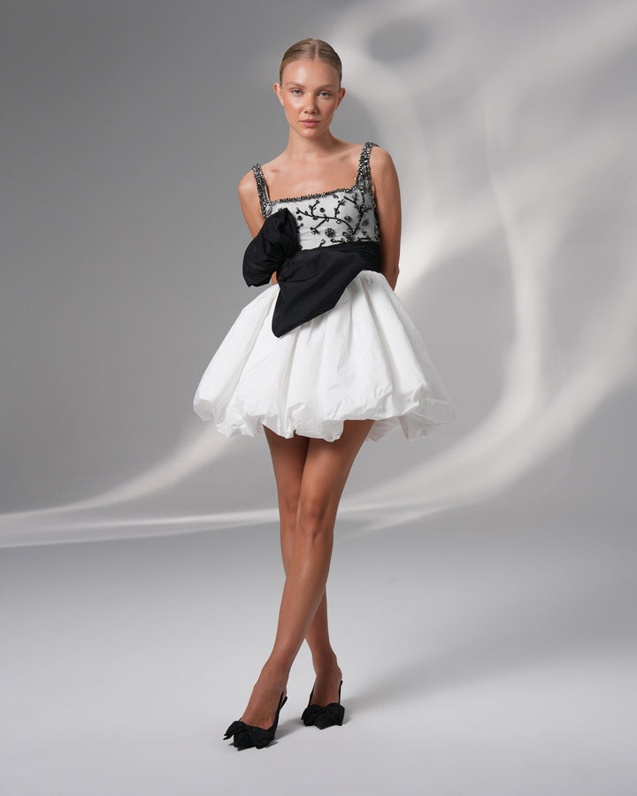 Embroidered Mini Balloon Skirt Dress with Bow Detail